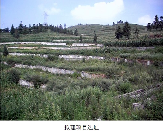 贵州安全标准化 贵州安全标准化