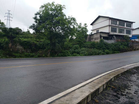 1573097696795264.png