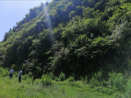 1625824961396855.png 1625824961396855.png