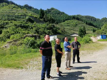 1625824961676194.png 1625824961676194.png